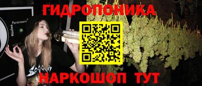 ALPHA PVP Кингисепп