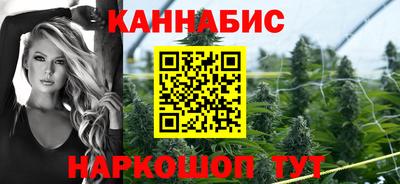 мдпв Камышлов