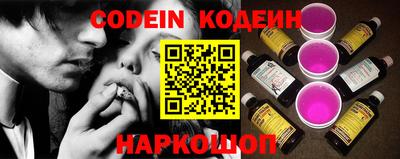 мдпв Камышлов
