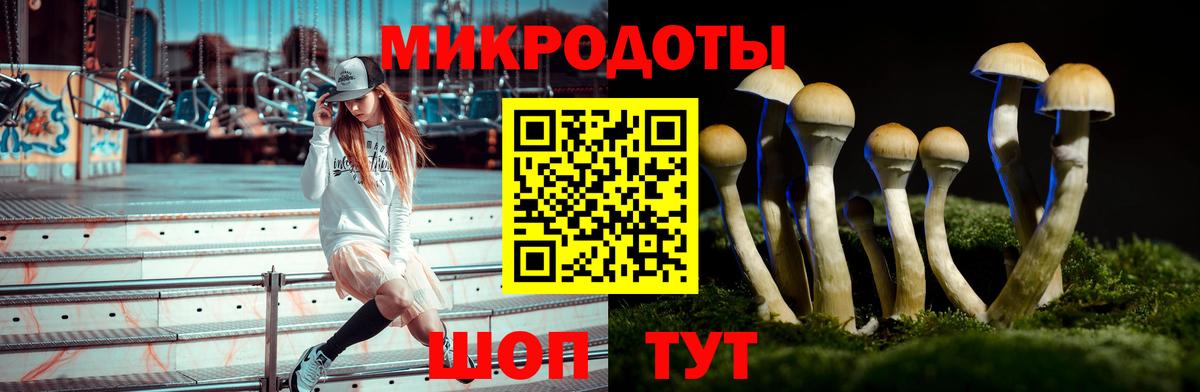 Галлюциногенные грибы MAGIC MUSHROOMS  Вход с VPN  Галлюциногенные грибы Psilocybe  Котовск 